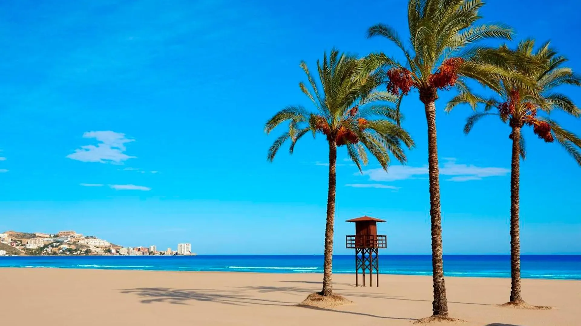 Apartamento Junto El Mar Con Piscina Conil De La Frontera